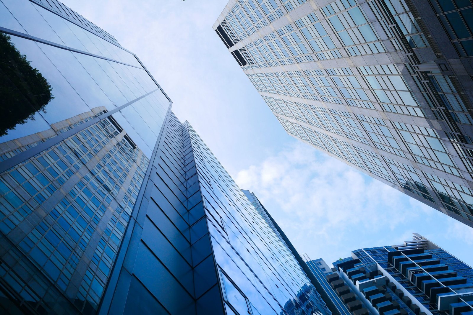Business Development Coordination